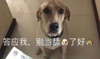 女生发嗯是什么意思