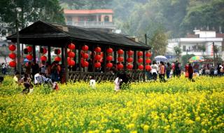 广州市花都区新华中学怎么样