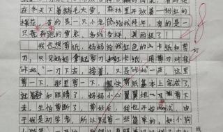 人教版小学三年级下册八单元作文怎么写