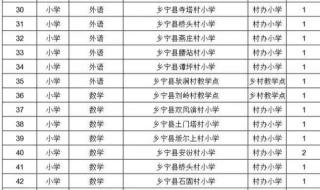 山西省特岗教师的报考条件