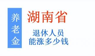 湖南退休金调整方案细则