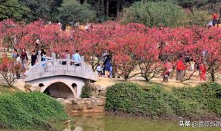 佛山南海区经济、消费水平如何谁知道