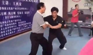 杨大卫太极拳85式口诀