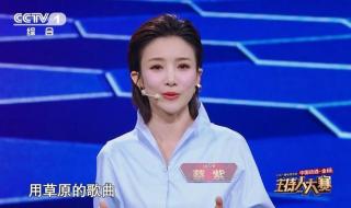 2020年春晚女相声演员